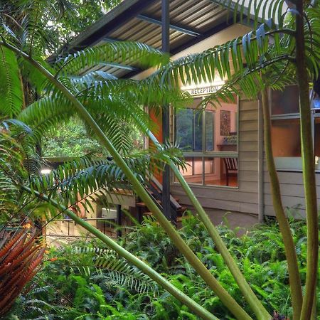 Chambers Wildlife Rainforest Lodges Lake Eacham Exterior foto