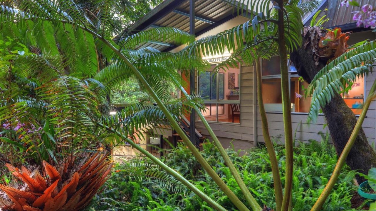 Chambers Wildlife Rainforest Lodges Lake Eacham Exterior foto