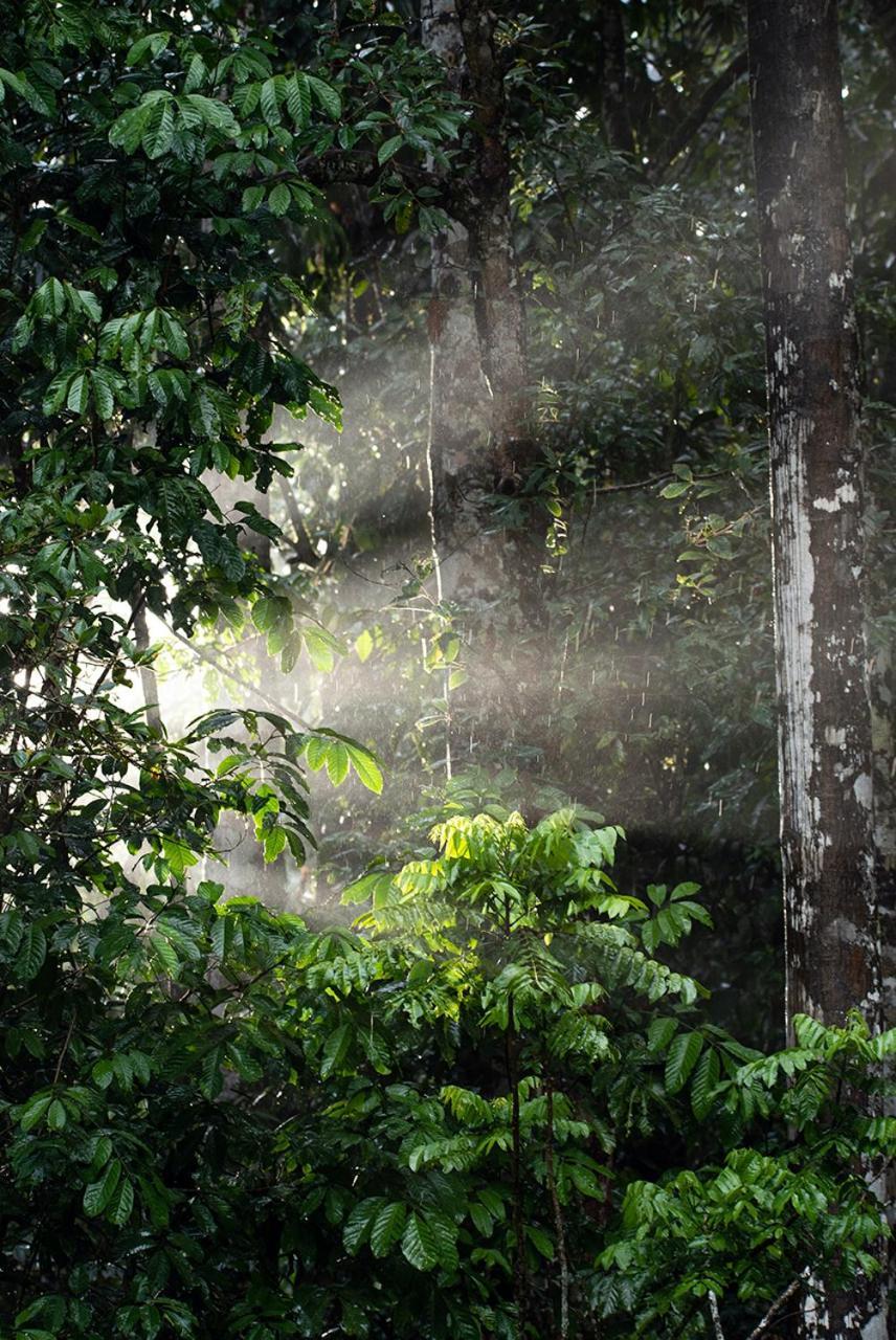 Chambers Wildlife Rainforest Lodges Lake Eacham Exterior foto