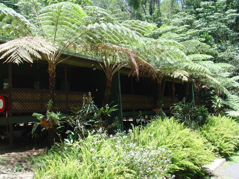Chambers Wildlife Rainforest Lodges Lake Eacham Exterior foto